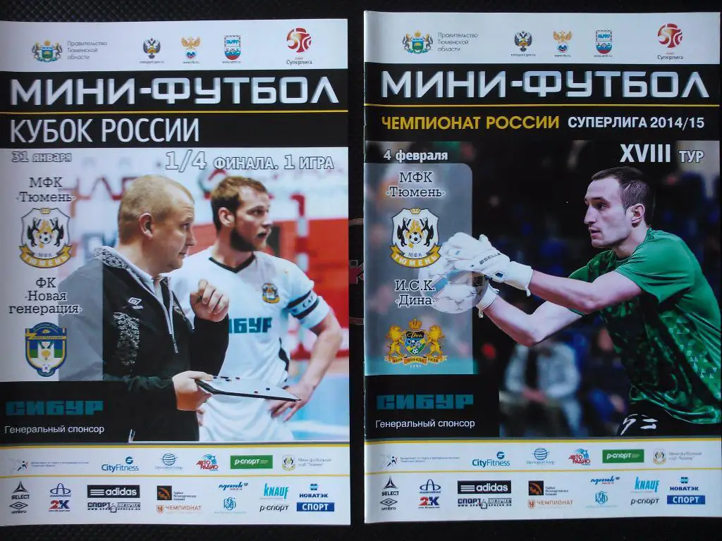 Тюмень - Дина Москва сезон 2014/15