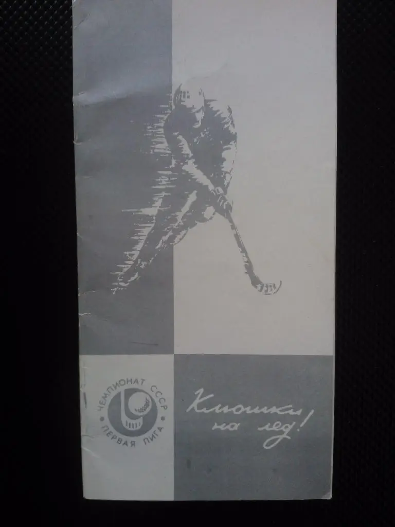 Архангельск 1983/84