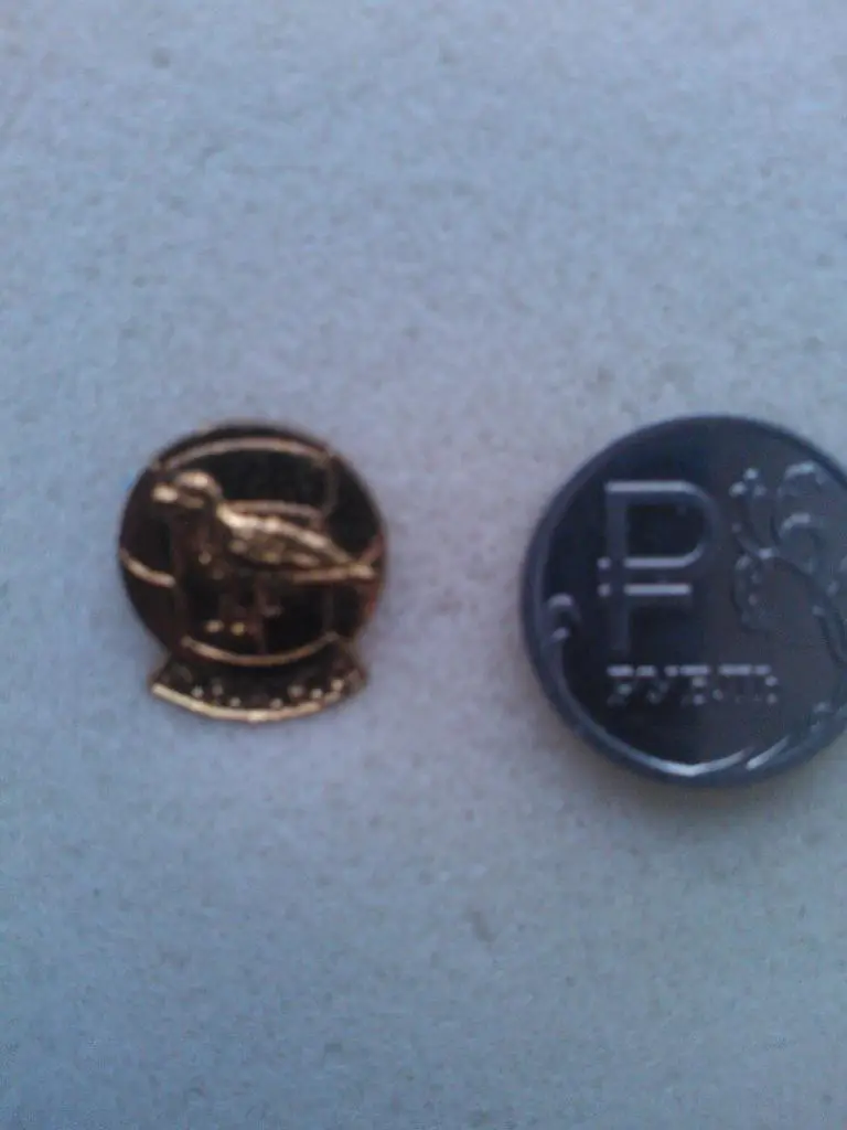 Вест Бромвич Альбион, игла