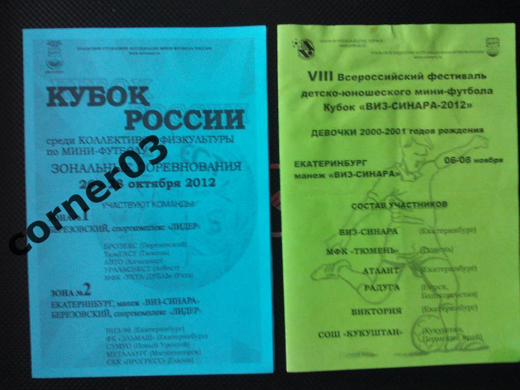 2 Кубок ВИЗ -Синара - 2012, девочки 2000/01, ноябрь 2012.