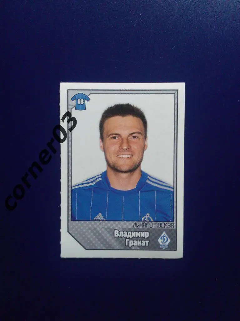 Панини, РФПЛ 2012-13, № 137