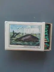 Спички из СССР, зеленые,Гренландский кит из серии Красная книга СССР