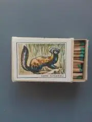 Спички из СССР, зеленые, Хорек перевязка из серии Красная книга СССР