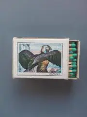 Спички из СССР, зеленые, Бородач из серии Красная книга СССР