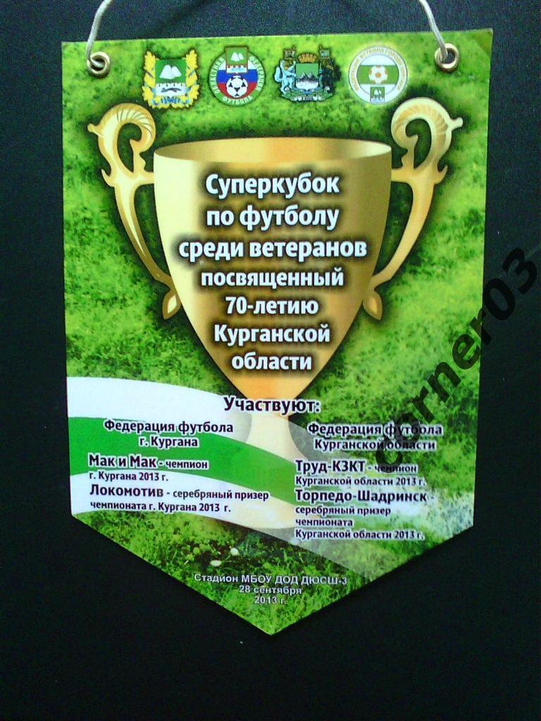 Ветеранский турнир, 2013 год, Курган.