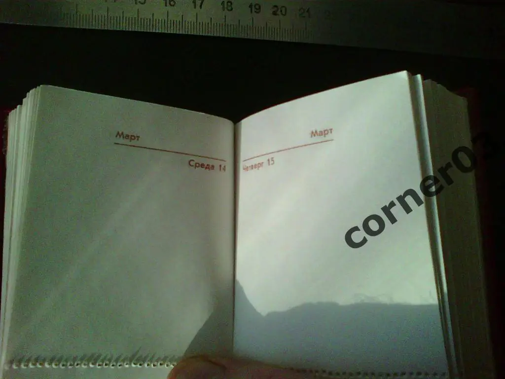 Ежедневник. Спутник. 1984 год. СССР. 2