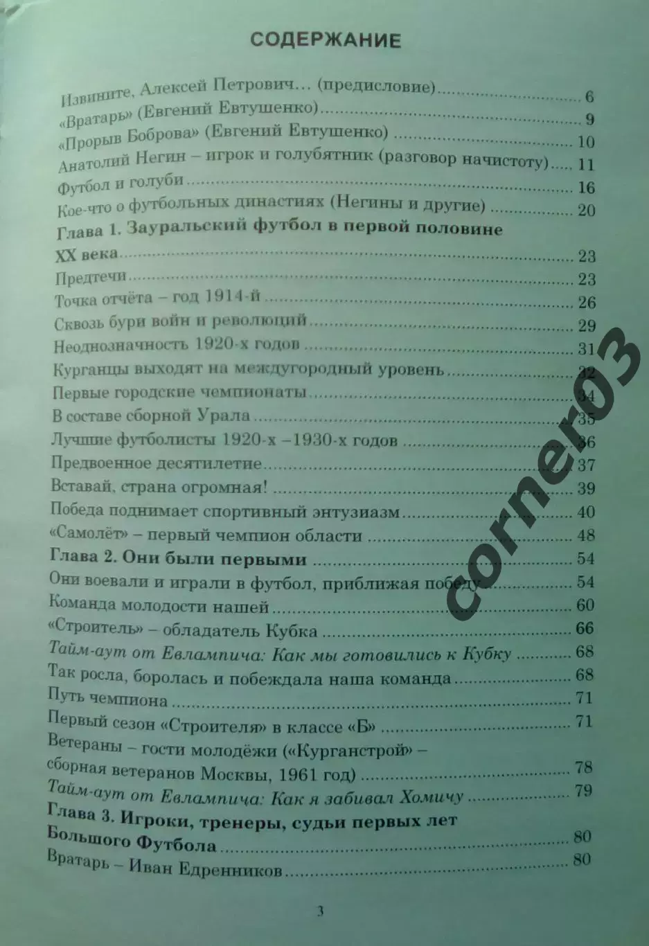 В. Паниковский, М. Черепанов Футбол и голуби. Курган 2024 В наличии! 1