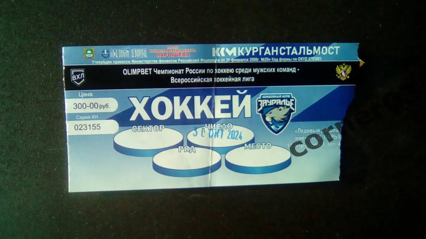 Курган - Пенза 30.10.2024