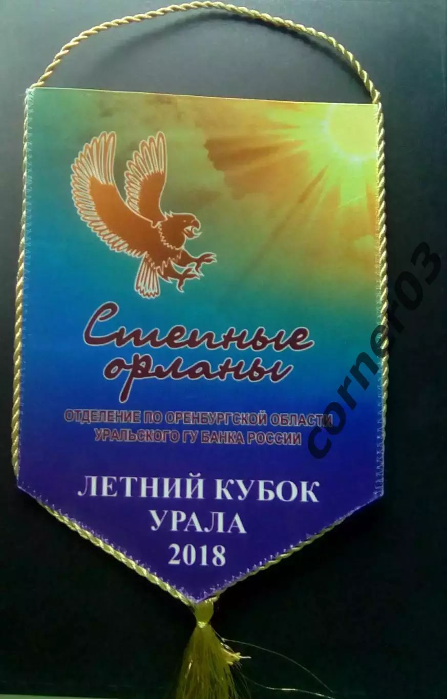 Кубок Урала. 2018. Отделение Оренбургской области ГУ ЦБ.