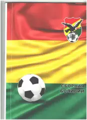 Сборная Боливии.2017 г