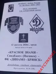 КУБОК Красное Знамя Ногинск - Динамо Брянск 12.08.26 2 вид.