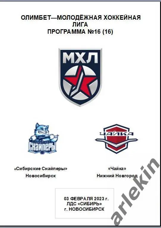 Сибирские Снайперы Новосибирск - Чайка Нижний Новгород 03.02.2023 Альтернативная