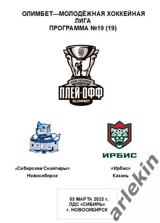 Плей ин. Сибирские Снайперы Новосибирск - Ирбис Казань 03.03.2023 Альтернативная