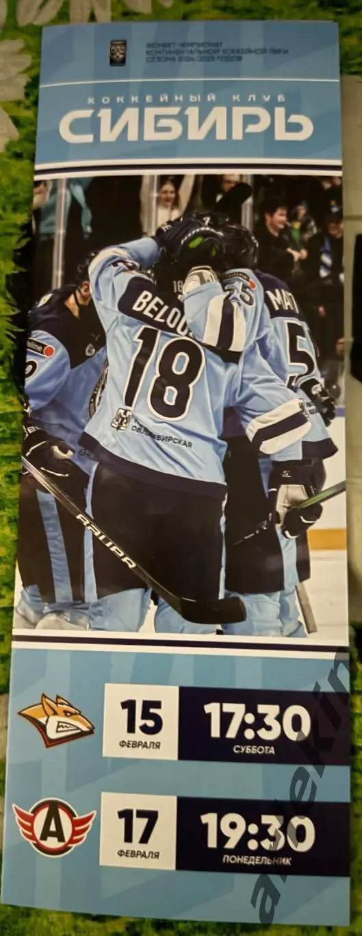 Сибирь Новосибирск - Металлург Магнитогорск 15.02.2025 года.