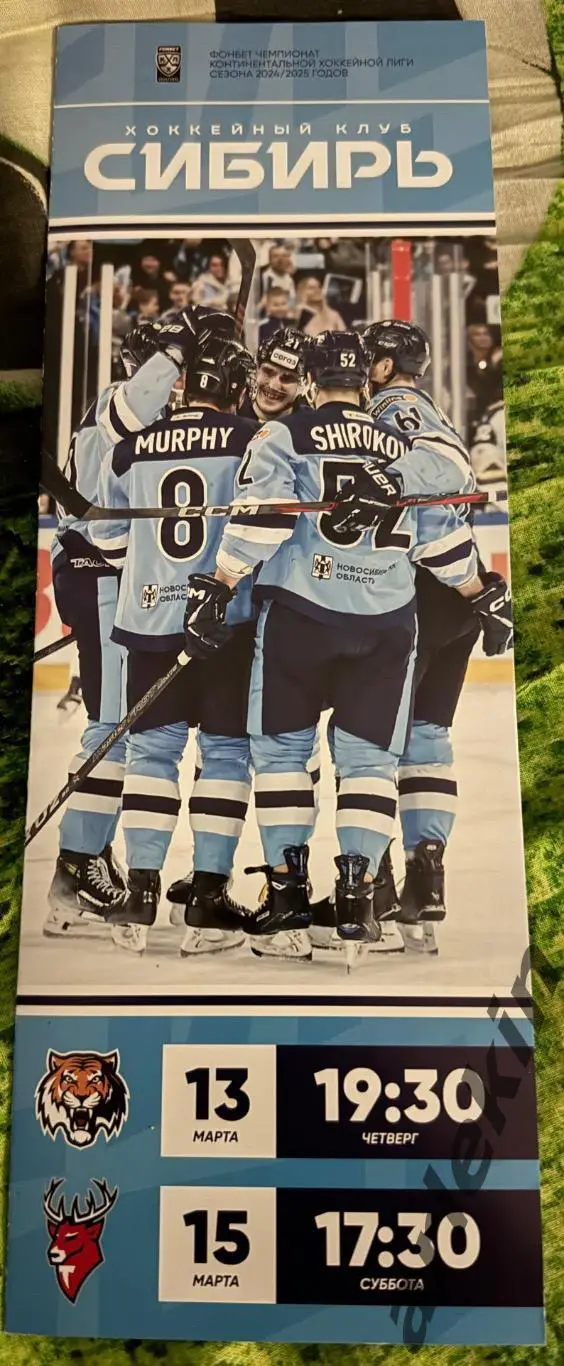 Сибирь Новосибирск - Амур Хабаровск / Торпедо Нижний Новгород 13.03 и 15.03.2025