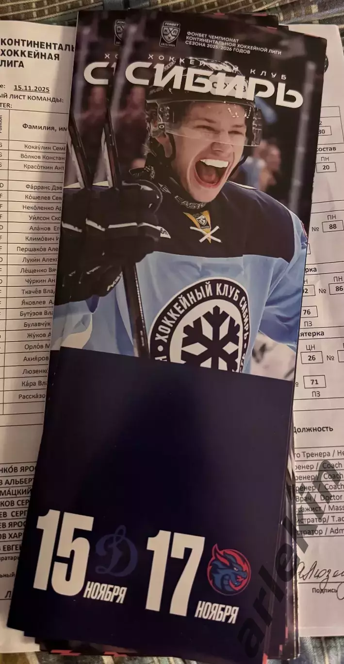 Сибирь Новосибирск - Динамо Москва / Шанхай Драгенс 15.11 и 17.11.2025 года