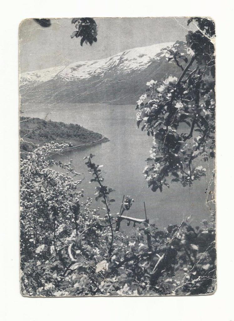 Открытка №6 Австрия горы Альпы. 30-е - 40-е. годы.