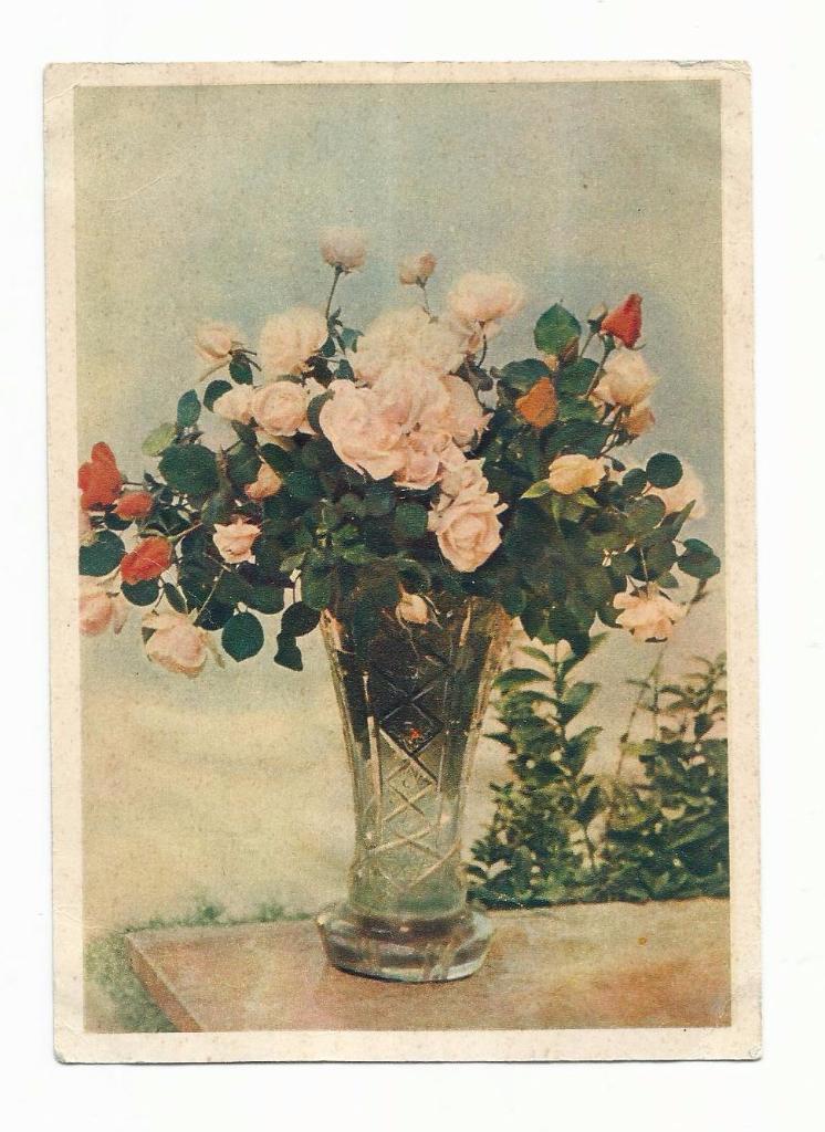 Открытка №36. 1955 год. Розы.