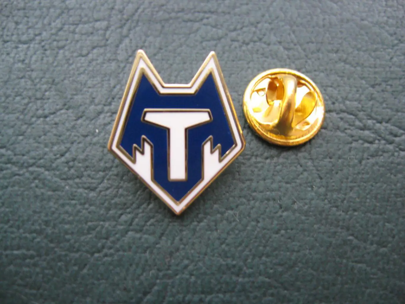 Значок ФК Тамбов Тамбов (Логотип) 1