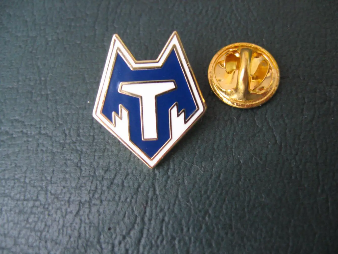 Значок ФК Тамбов Тамбов (Логотип)