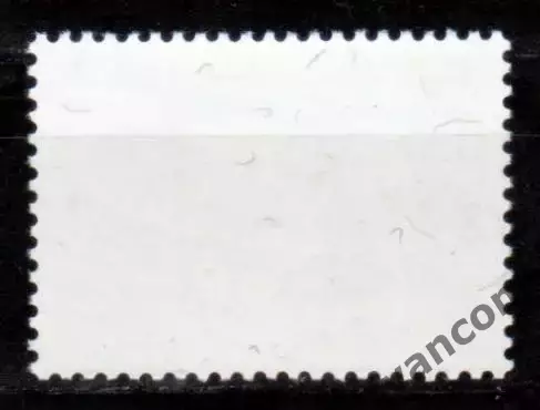 Марки, Алжир, Спорт, Олимпийский стадион в Шерага. 1