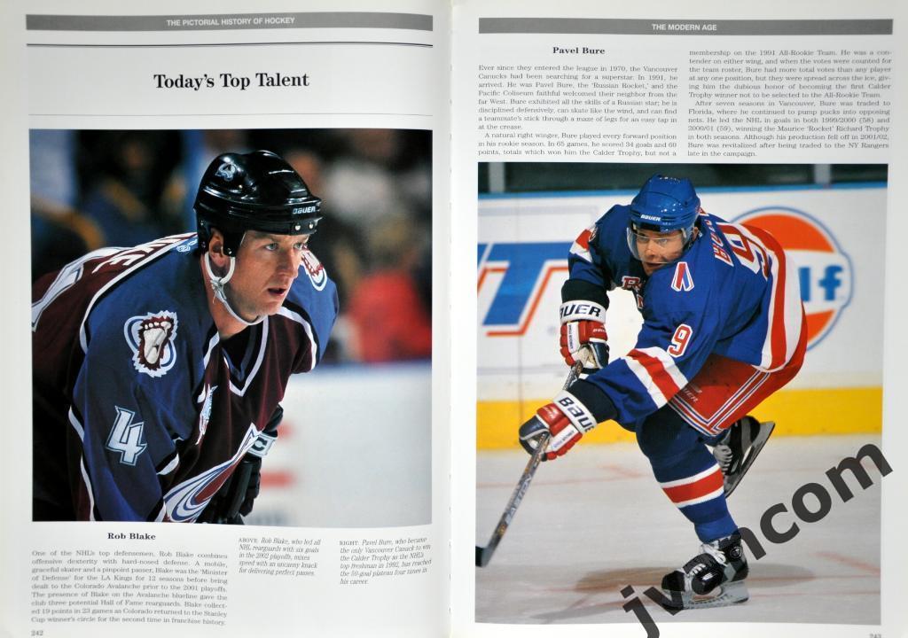 Хоккей. Живописная история хоккея, 2002 год. 1