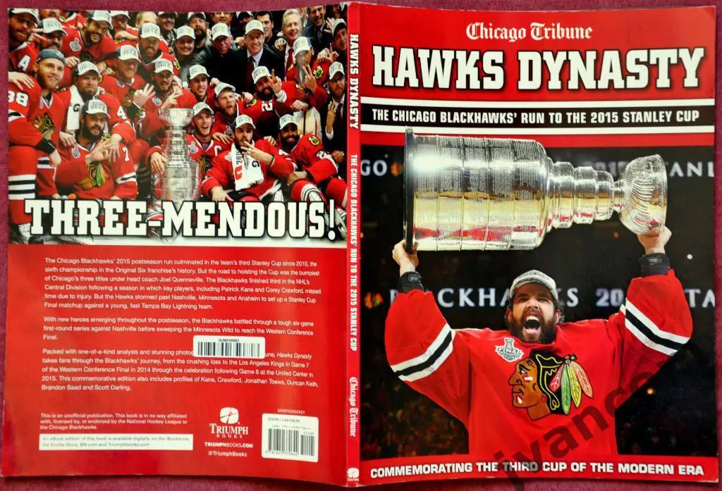 Хоккей. НХЛ - Династия Ястребов - Победители Кубка Стэнли, 2015 год