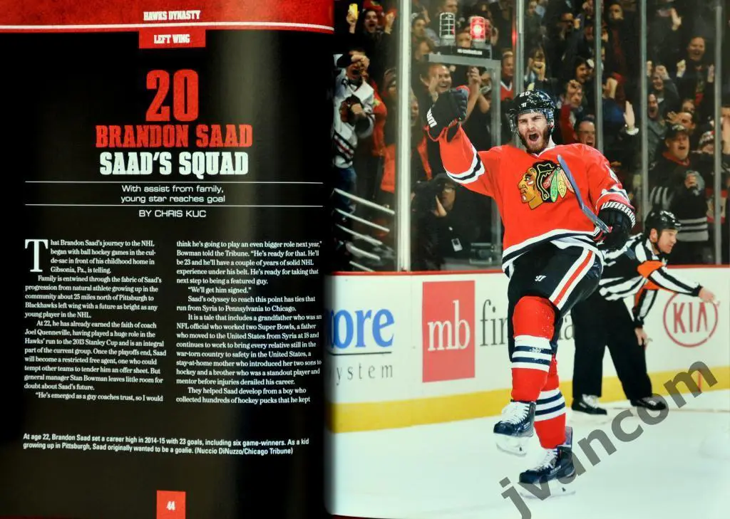 Хоккей. НХЛ - Династия Ястребов - Победители Кубка Стэнли, 2015 год 6