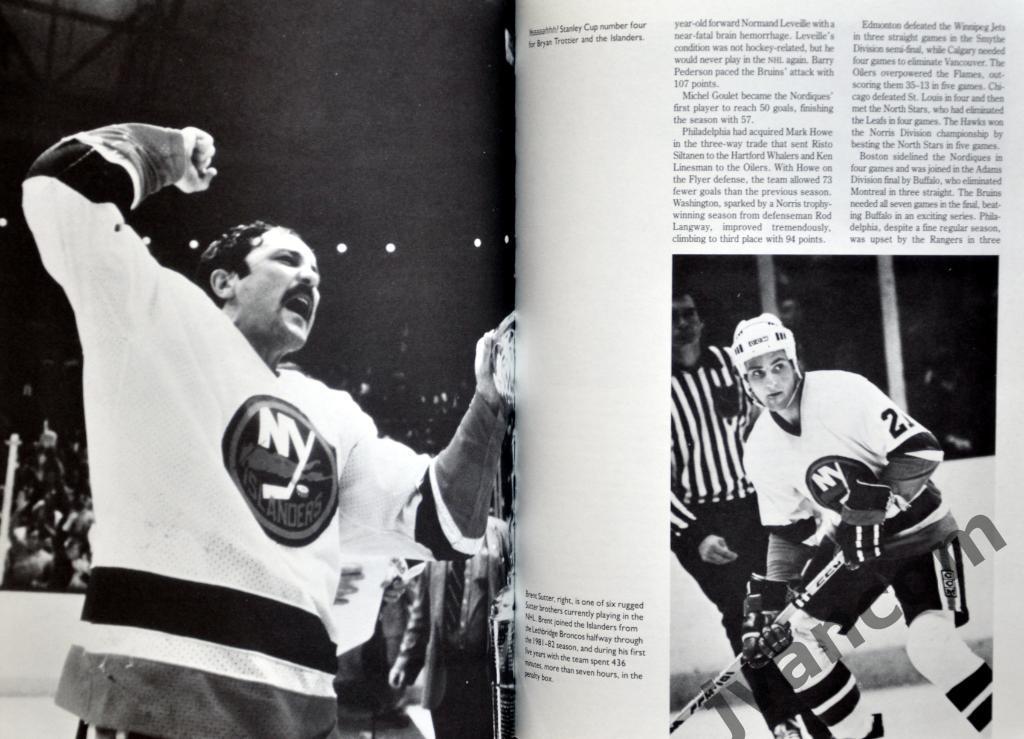 Хоккей. НХЛ - Двадцать лет - 1967-1987, 1987 год. 4