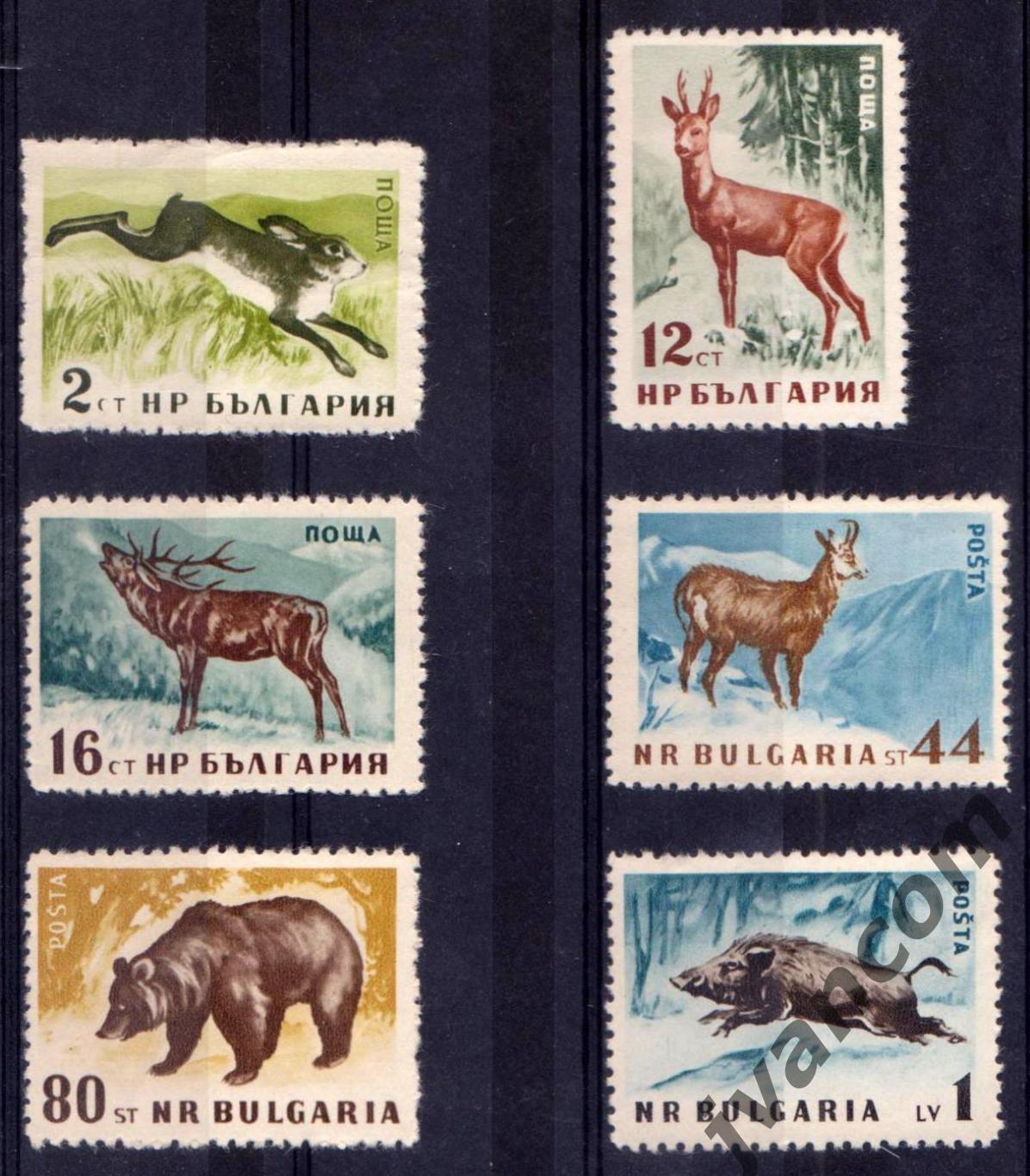 Марки, НР Болгария, Местные лесные животные, 1958 год.