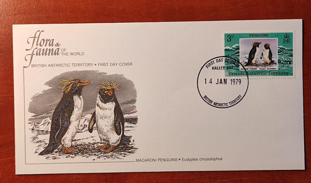Британские Антарктические Территории. КПД. Макаронные Пингвины.