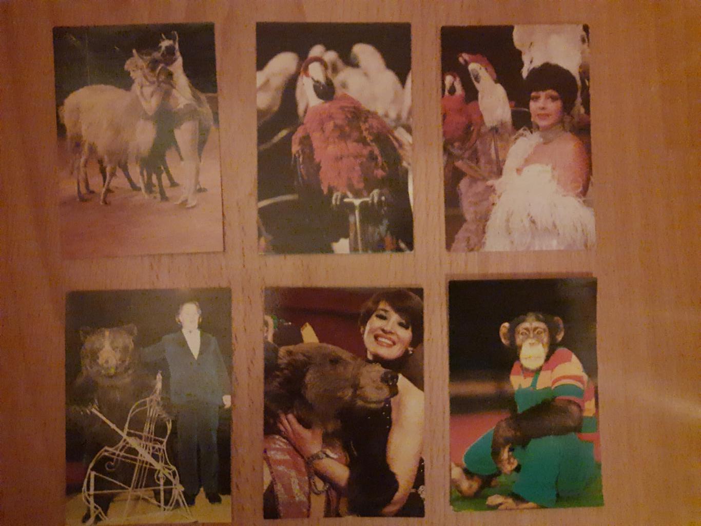 календарики Цирк 1984, 35 шт.