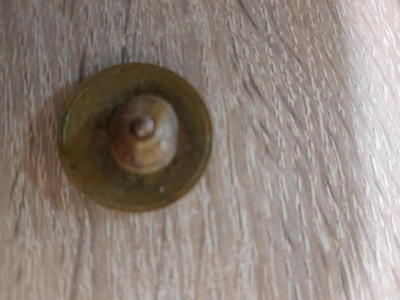 знак, коллегия судей по спорту 3 категория,времен СССР 1