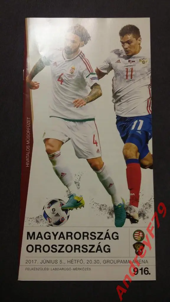 Венгрия - Россия 05.06.2017г