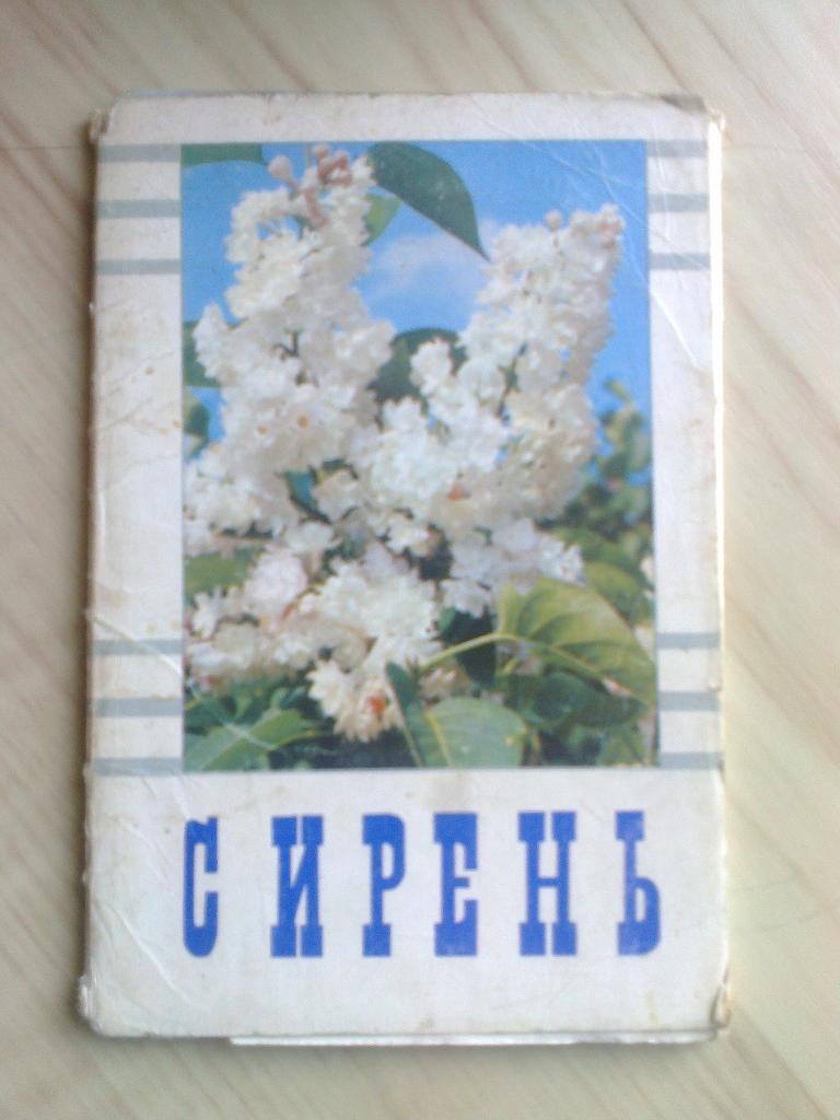 Набор открыток Сирень (1972 г.)