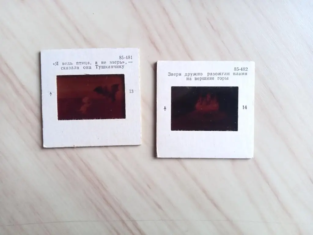 Цветные диапозитивы То ли птица, то ли зверь (по мотивам мультфильма). СССР 2