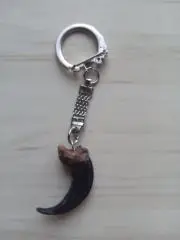 Коготь полярного волка (настоящий, длина примерно 4,5 см)