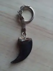 Коготь бурого медведя (настоящий, длина примерно 4,5 см)