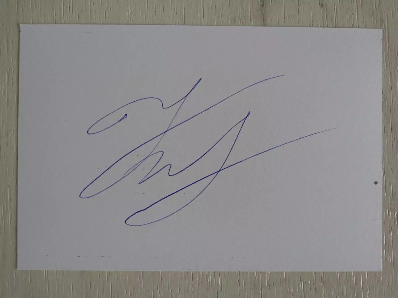 Автограф Романа Копылова (российский боец смешанного стиля (ММА)) 7