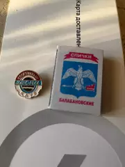 Значок Спортивный клуб Десна