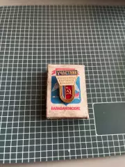 Значок Участник XV Всероссийская спартакиада школьников