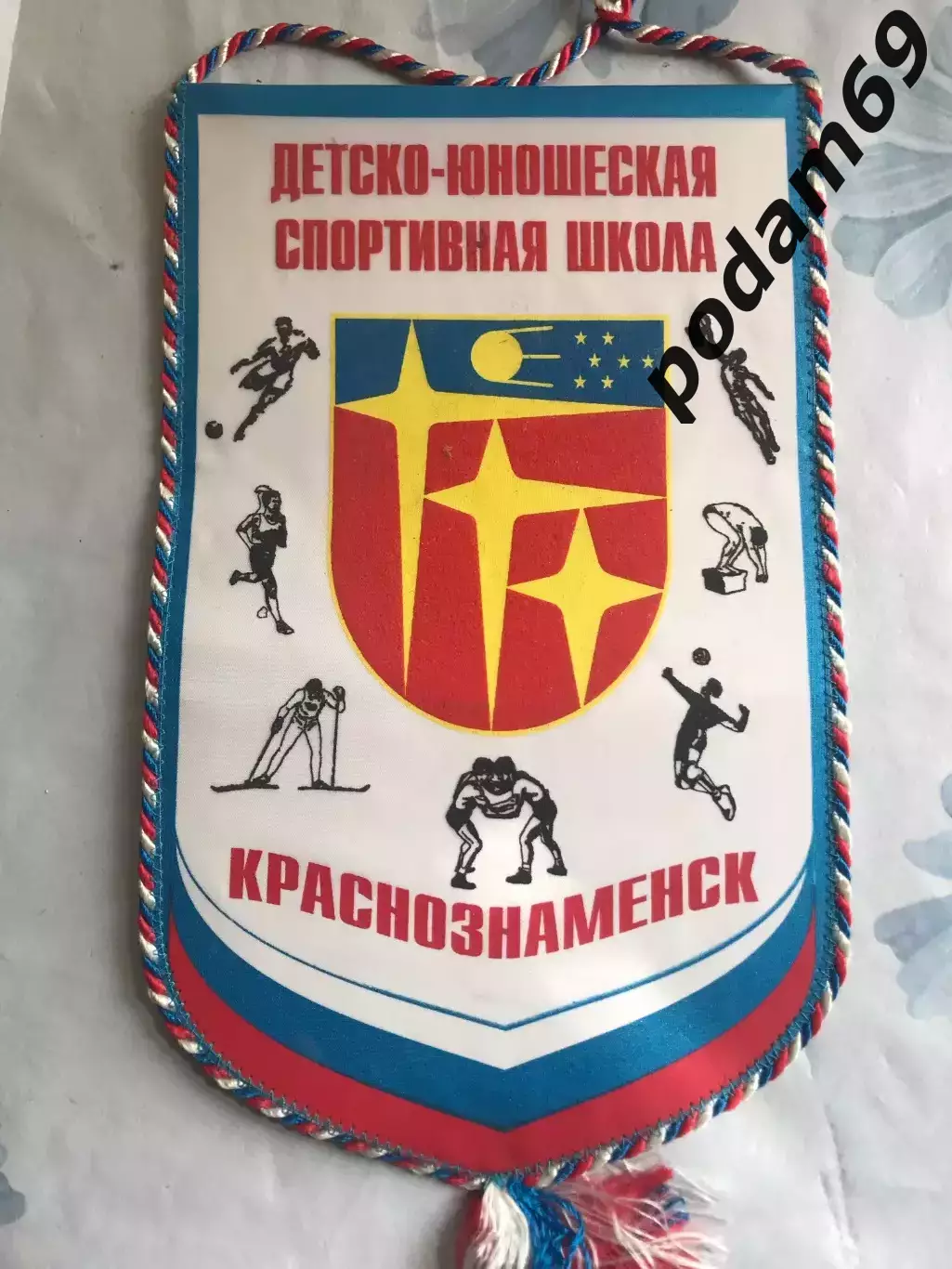 Вымпел ДЮШС Краснознаменск