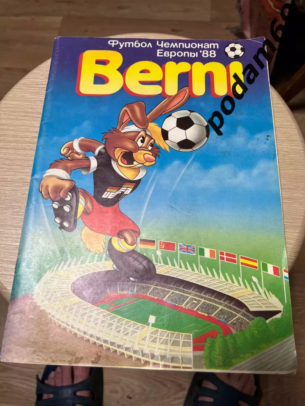 Все о чемпионате Европы 1988. Берни. ФиС - 1990