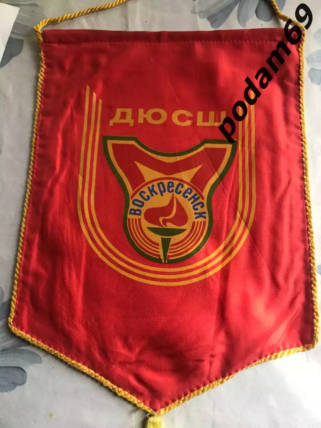 Вымпел ДЮШС Воскресенск