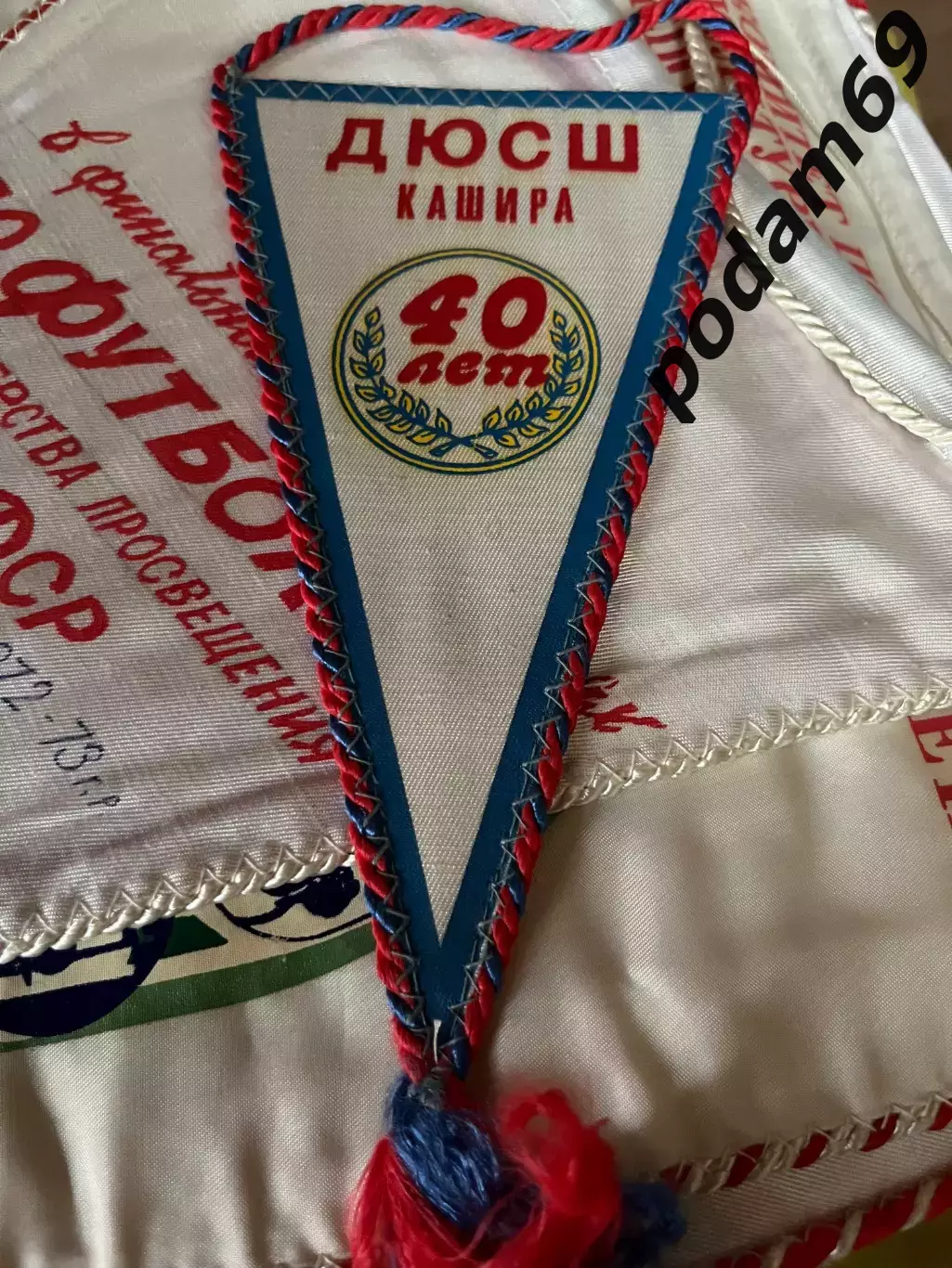 Вымпел ДЮСШ Кашира