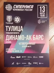 Тулица Тула - Динамо АК Барс Казань 2026 год 1/4 финала плей-офф