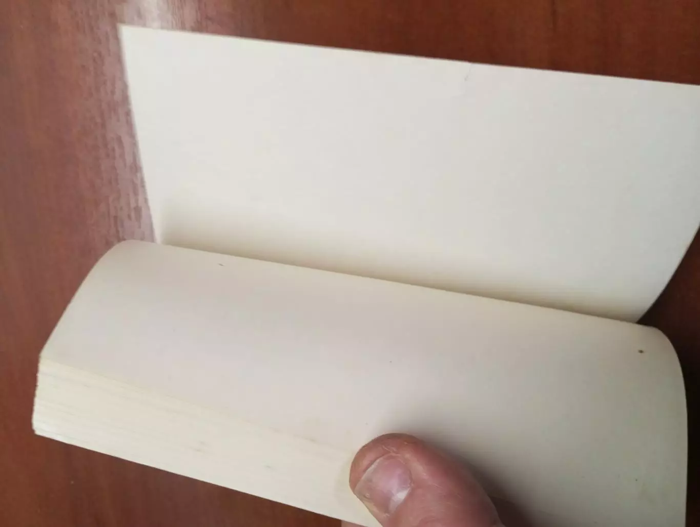 календарь - справочник Воронеж 1995 год 2