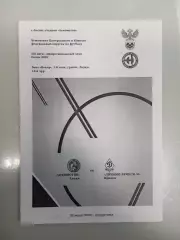 Локомотив Лиски - Динамо - М Брянск 2025 год