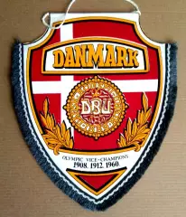 Вымпел. Федерация футбола ДАНИИ.