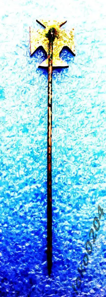 Федерация стрельбы из лука - ШВЕЦИЯ . 1